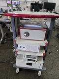 Richard Wolf Endocam Performance HD System Light Source Printer Cart PowerTested