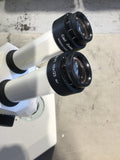 CARL ZEISS STEMI SV 6 STEREO ZOOM MICROSCOPE