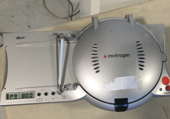 ETHROG IBLOT GEL TRANSFER DEVICE