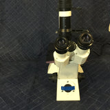 CARL ZEISS AXIOVERT 40C INVERTED PHASE CONTRAST MICROSCOPE