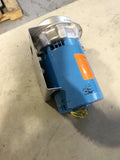 Goulds 1ST1F2B4 (NPE Series) pump