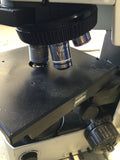 OLYMPUS BX51 MICROSCOPE W/ DUAL OBJECTIVE LENSES
