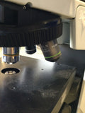 OLYMPUS BX51 MICROSCOPE W/ DUAL OBJECTIVE LENSES