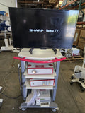 Richard Wolf Endocam 5124LP System 5365200 w/ CCD Camera Video Printer Sharp TV