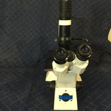 CARL ZEISS AXIOVERT 40C INVERTED PHASE CONTRAST MICROSCOPE