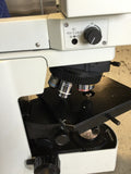 OLYMPUS BX51 MICROSCOPE W/ DUAL OBJECTIVE LENSES
