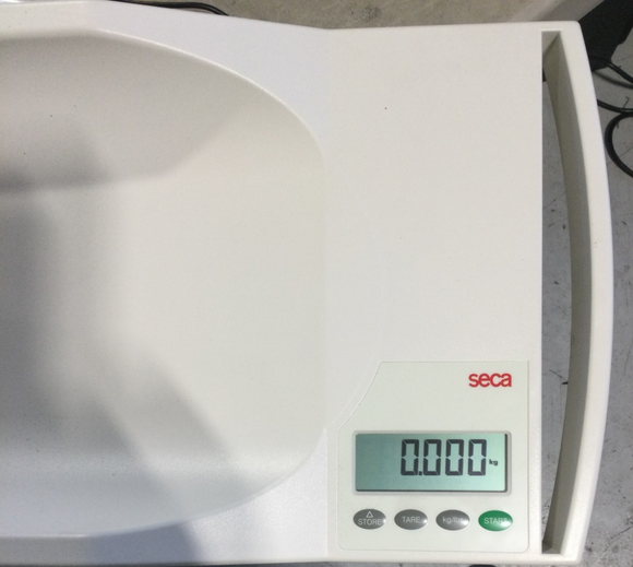SECA 334 INFANT SCALE